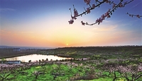 南京市六合区竹镇镇大泉村